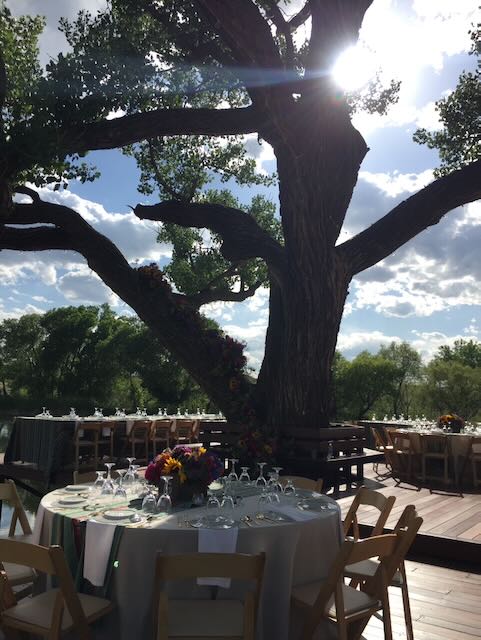 Outdoor Dining Setup